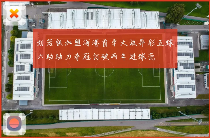 刘若钒加盟海港首季大放异彩五球六助助力夺冠打破两年进球荒