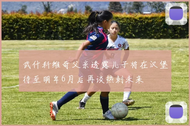 武什科维奇父亲透露儿子将在汉堡待至明年6月后再谈热刺未来